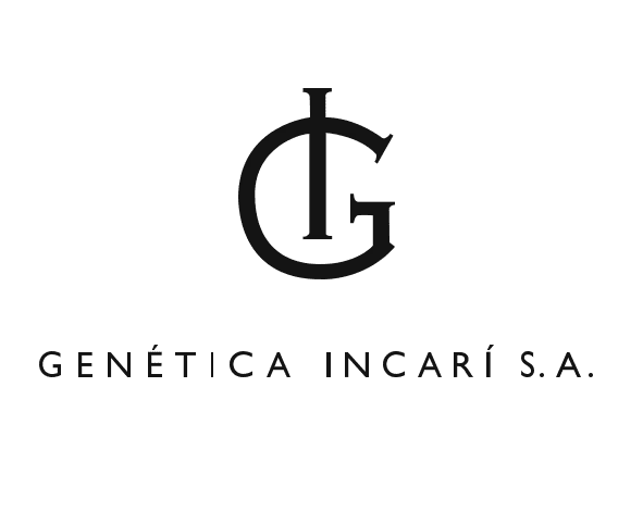 client image
